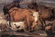 BERCHEM, Nicolaes Animal Study dd oil painting on canvas